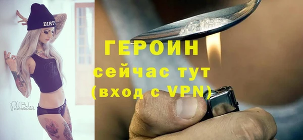 гашик Алексин