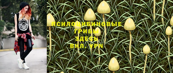 трава Аркадак