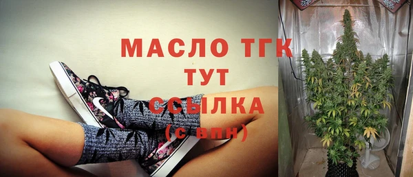 гашик Алексин