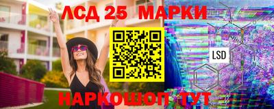 СК Рыбинск