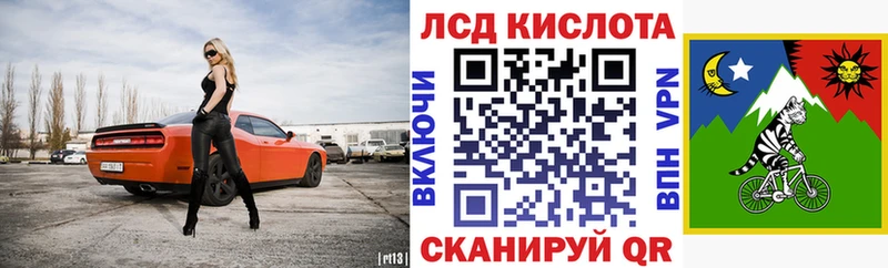 как найти наркотики  OMG рабочий сайт  Марки NBOMe 1500мкг  Новодвинск 