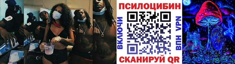 Псилоцибиновые грибы Magic Shrooms  наркота  blacksprut ссылки  Новодвинск 