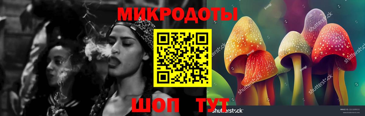 Галлюциногенные грибы MAGIC MUSHROOMS Новодвинск