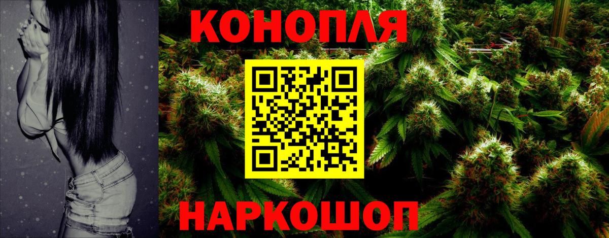Бошки Шишки план Новодвинск